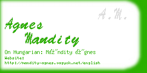 agnes mandity business card